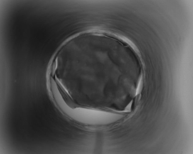 X0000087571392200705181135