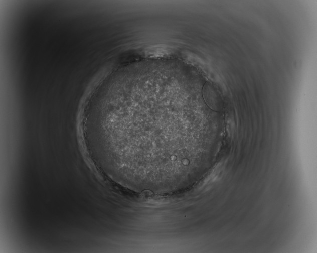 X0000087571393200705181134