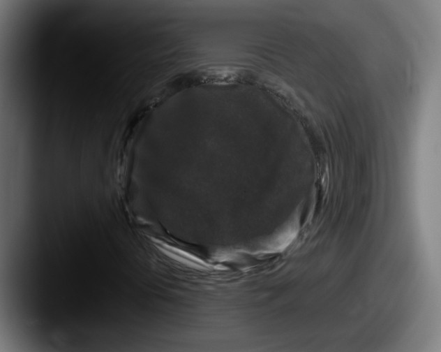 X0000087571394200705181134