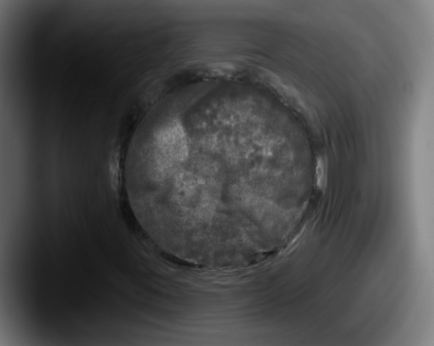 X0000087571395200705181134