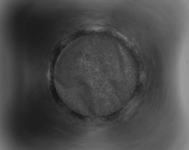 X0000087571397200705181134