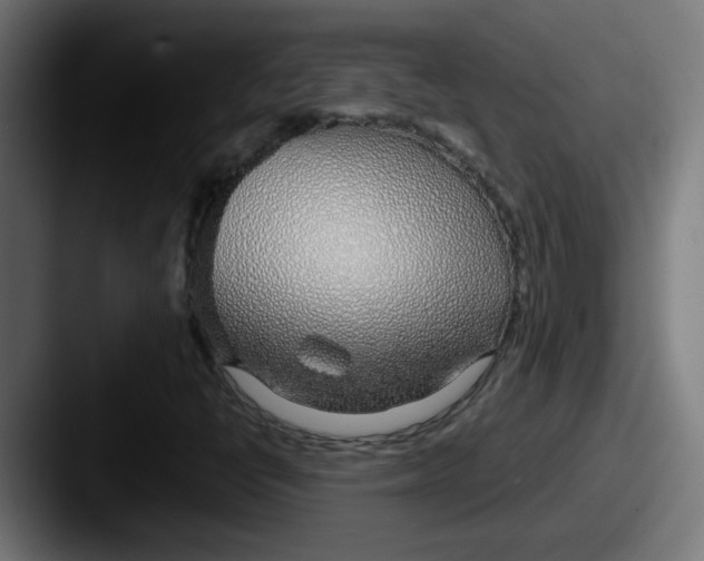 X0000087571398200705181134