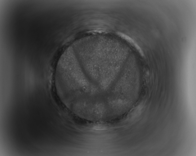 X0000087571399200705181134