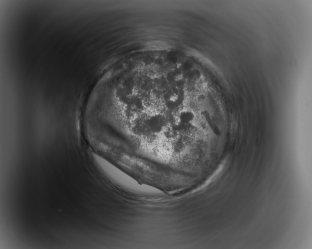 X0000087571401200705181134