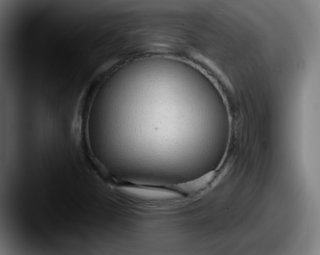 X0000087571402200705181134