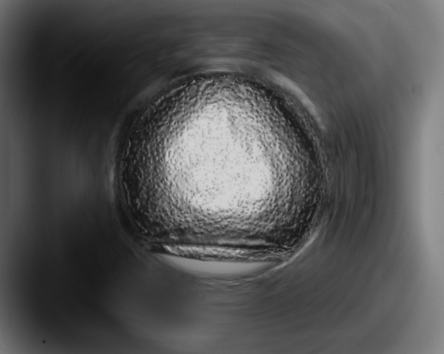 X0000087571403200705181134