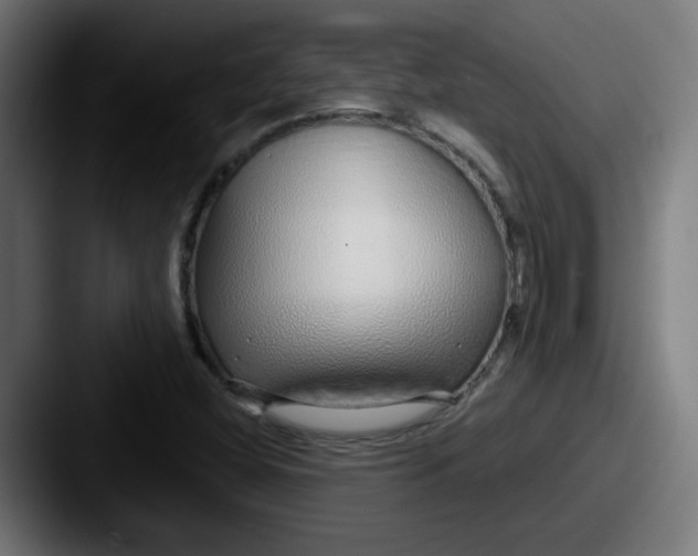 X0000087571404200705181134