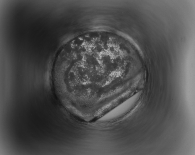 X0000087571405200705181134