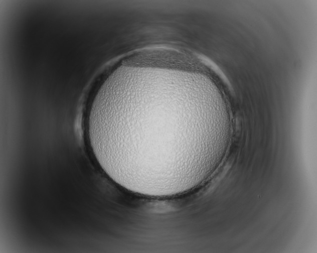 X0000087571408200705181134