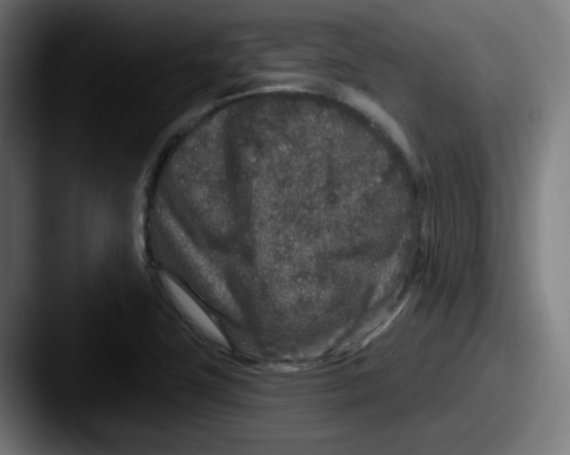 X0000087571411200705181134