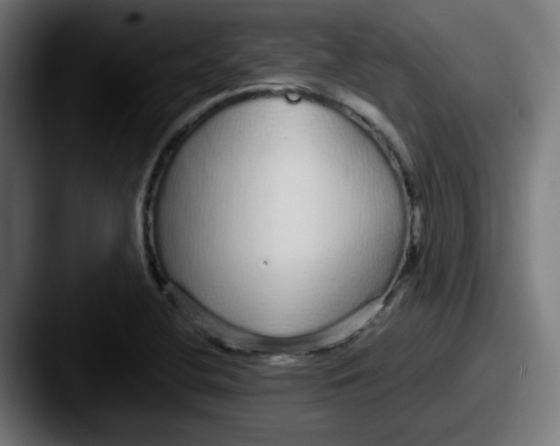 X0000087571412200705181134