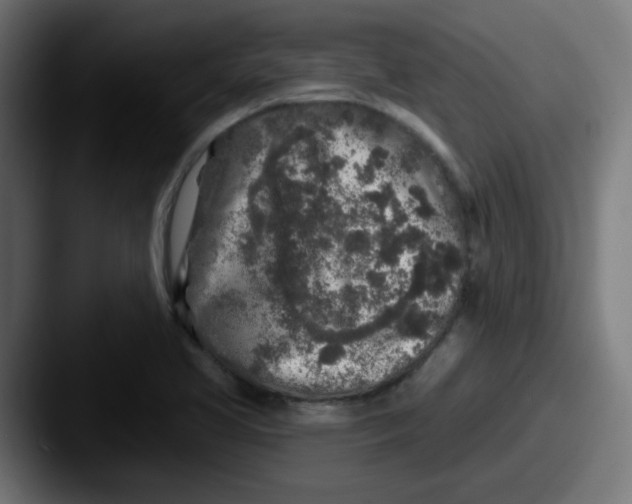 X0000087571413200705181134