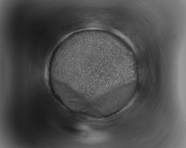 X0000087571415200705181134