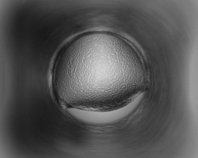 X0000087571416200705181134