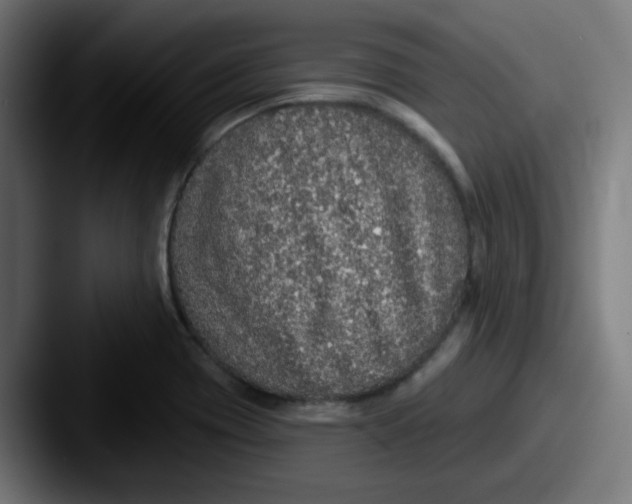 X0000087571417200705181134