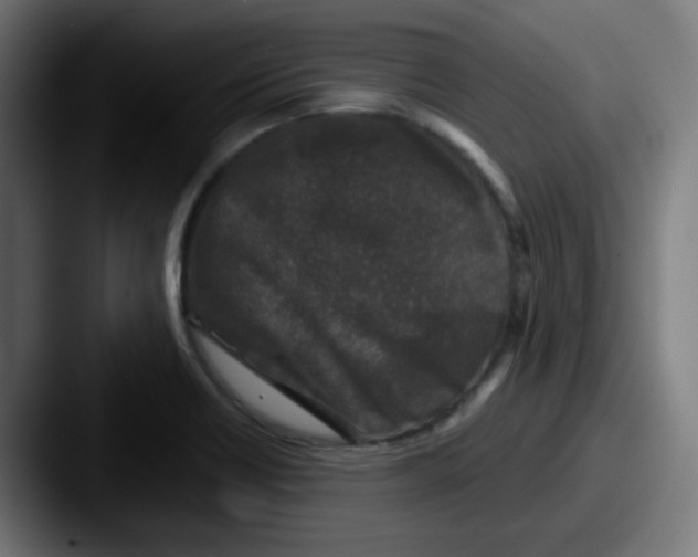 X0000087571418200705181134