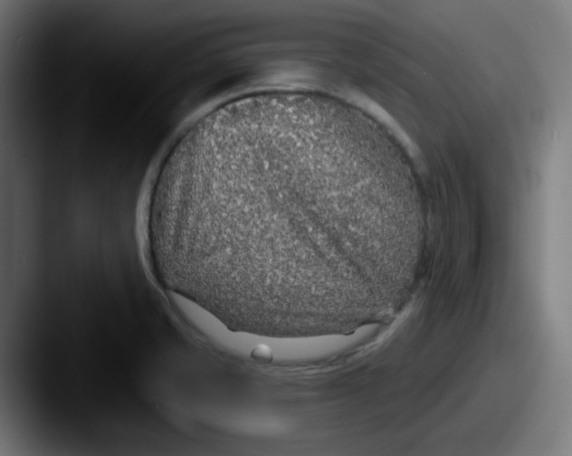 X0000087571421200705181134