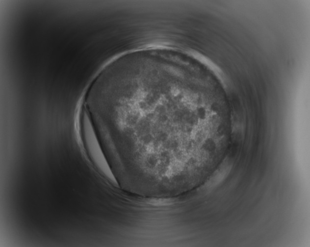 X0000087571423200705181134