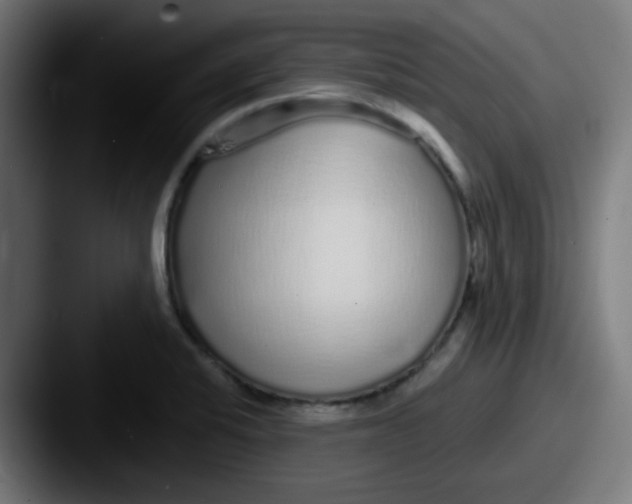 X0000087571424200705181134