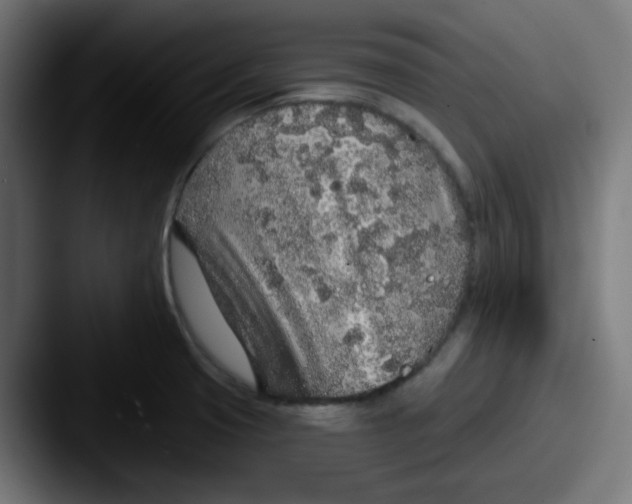 X0000087571425200705181134