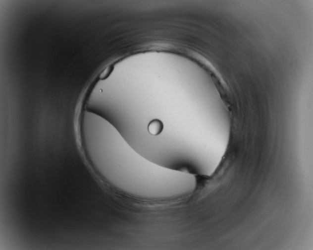 X0000087571426200705181134