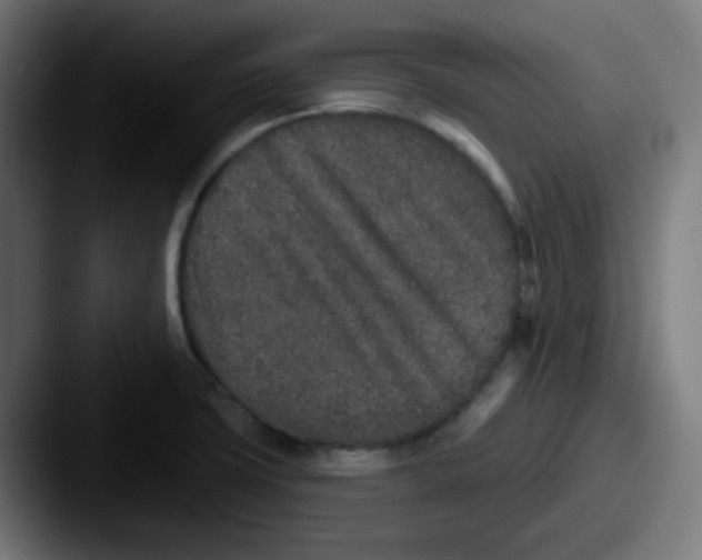 X0000087571427200705181134