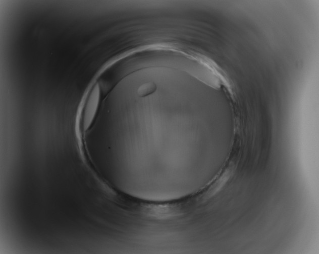 X0000087571428200705181134