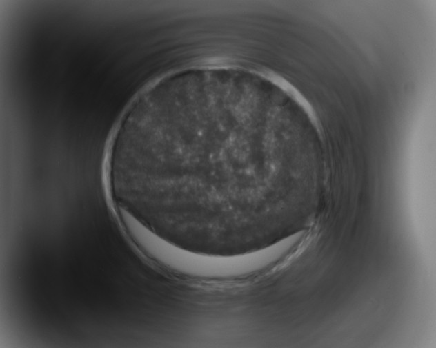 X0000087571429200705181134