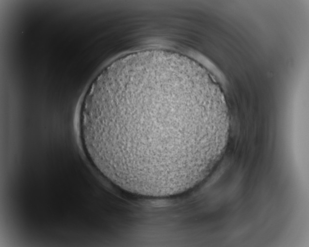 X0000087571431200705181135