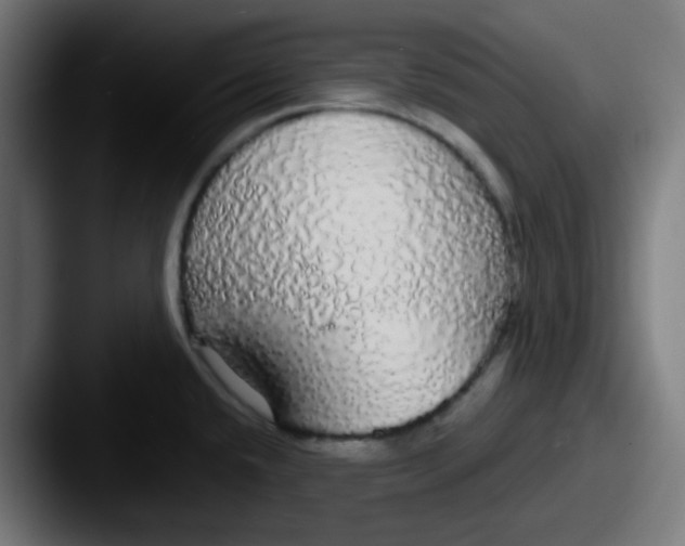 X0000087571432200705181135