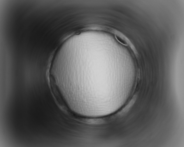 X0000087571433200705181135