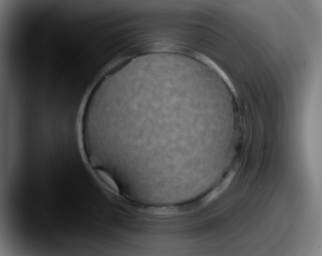 X0000087571434200705181135