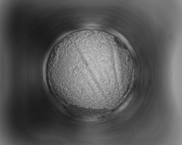 X0000087571435200705181135