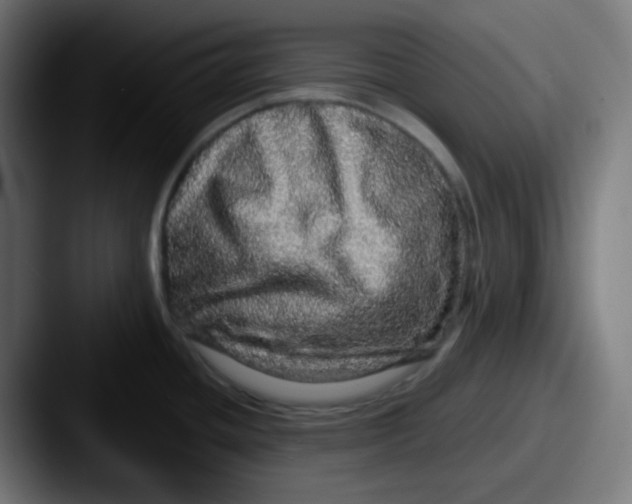 X0000087571436200705181135