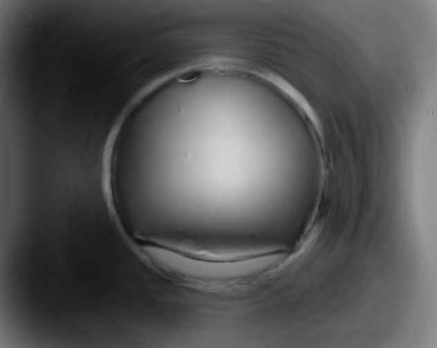 X0000087571437200705181135