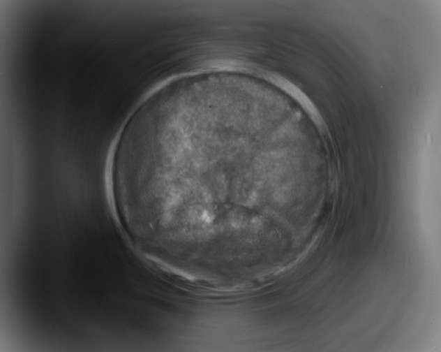 X0000087571439200705181135