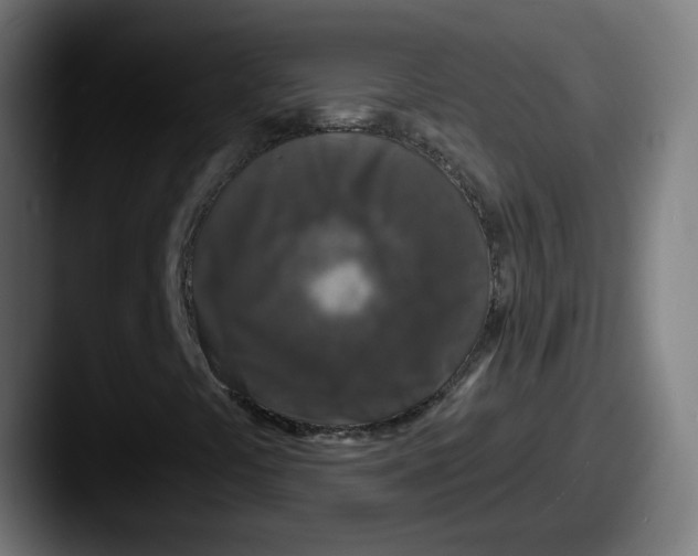 X0000087571441200705181134