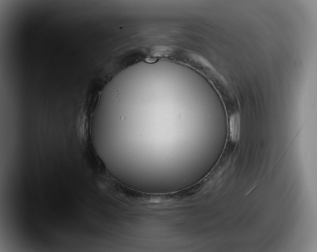 X0000087571443200705181134