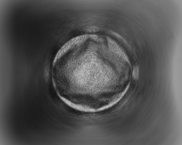 X0000087571444200705181134