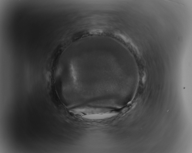 X0000087571445200705181134