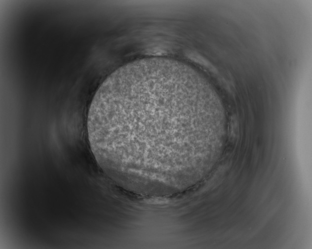 X0000087571446200705181134