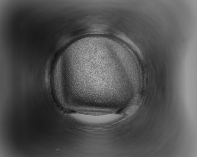 X0000087571450200705181134