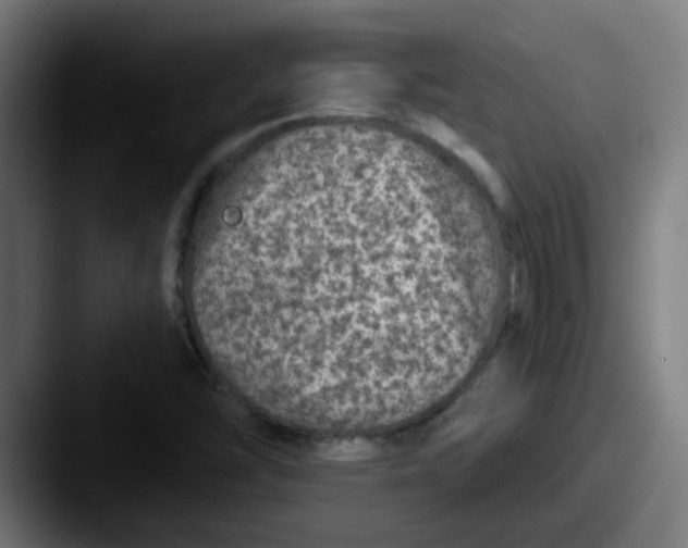 X0000087571454200705181134