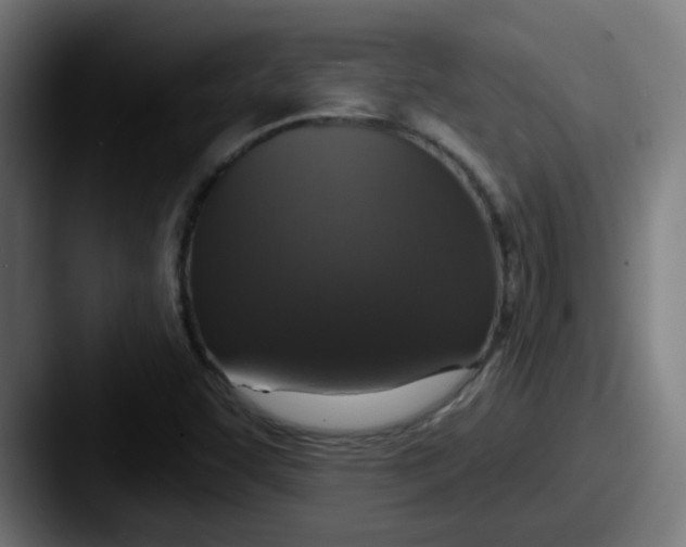 X0000087571455200705181134