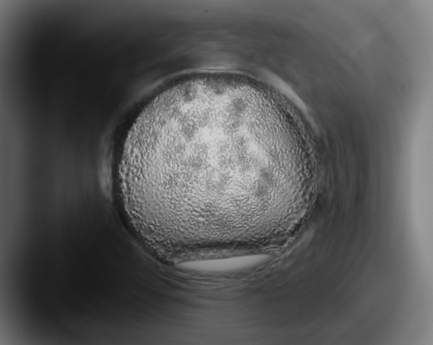 X0000087571456200705181134