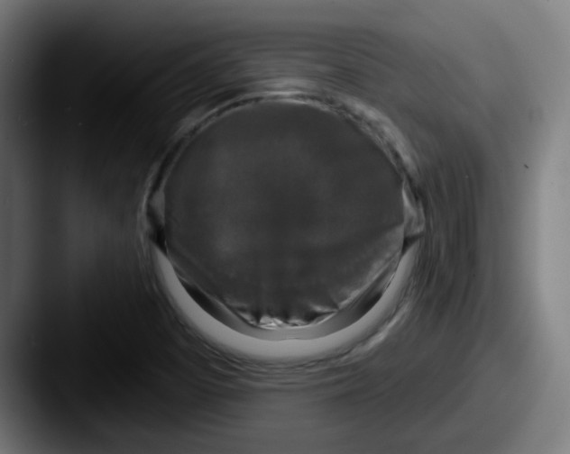 X0000087571457200705181134