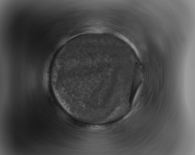 X0000087571459200705181134