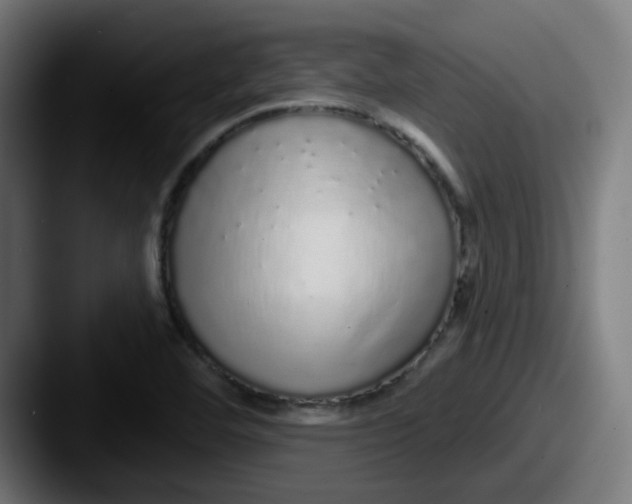 X0000087571460200705181134