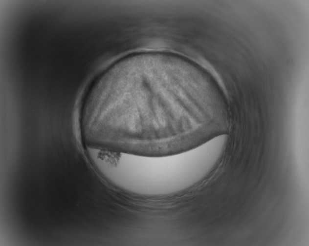 X0000087571464200705181134