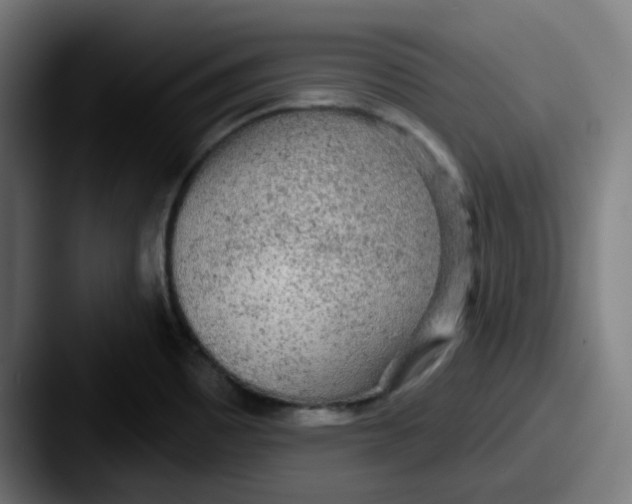 X0000087571465200705181134